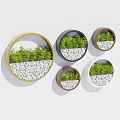 Decorative Circular Wall Decor with Green Plants and White Pebbles in Various Colored Frames 3d model