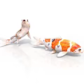Two Colorful Koi Fish Swimming In White Background With Orange And White Patterns