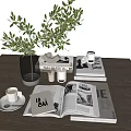 Modern Decorative Ornament Combination with Green Plant Vase Open Books Candle Coffee Cup and Tray