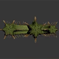 Green Spiky Cactus Plant with Multiple Branches on Dark Background and Smooth Reflection