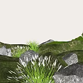 Natural Style Garden Decor with Lush Green Grass Gray Stones Grass Clumps and Small Tree