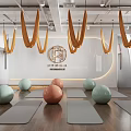 Yoga Studio Interior With Swings Mats And Decor 3d model