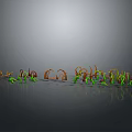 Colorful Seedling Plants With Green Red Stems On Gray Background With Reflection