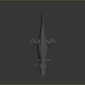 Crocodile Alligator Nile Crocodile carnivore reptile cold-blooded animal reptile 3d model
