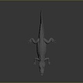 Crocodile Alligator Nile Crocodile carnivore reptile cold-blooded animal reptile reptile 3d model