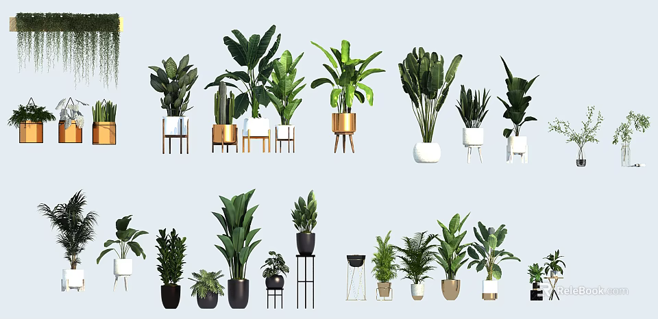 Various Potted Plants With Different Pots And Stands For Indoor Home Decor 3d model 