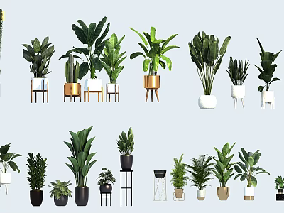 Various Potted Plants With Different Pots And Stands For Indoor Home Decor 3d model