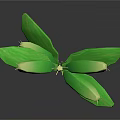 Green Plant Stem With Fresh Lush Leaves On Dark Reflective Surface