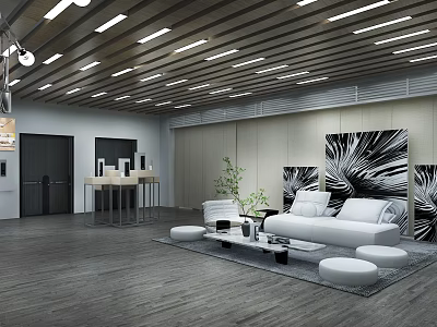 Modern Specialty Store Interior With White Sofa Black And White Art And Green Plants 3d model