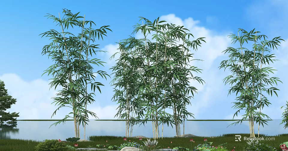 Lush Bamboo Plants In Serene Natural Setting With Blue Sky White Clouds And Water 3d model 