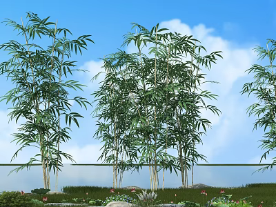 Lush Bamboo Plants In Serene Natural Setting With Blue Sky White Clouds And Water 3d model