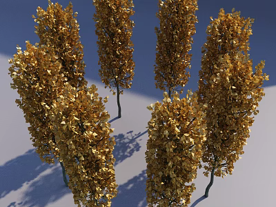 Golden Leaf Arbor Trees In Outdoor Landscape With Tall Trunks And Lush Foliage 3d model