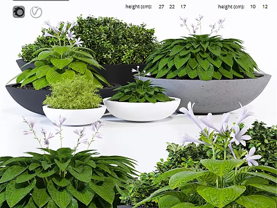 Plant Decorative Arrangement With Green Plants Purple Flowers And Various Size Pots 3d model