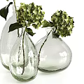 Clear Glass Vases With Fresh Green Hydrangea Flowers For Home Decor