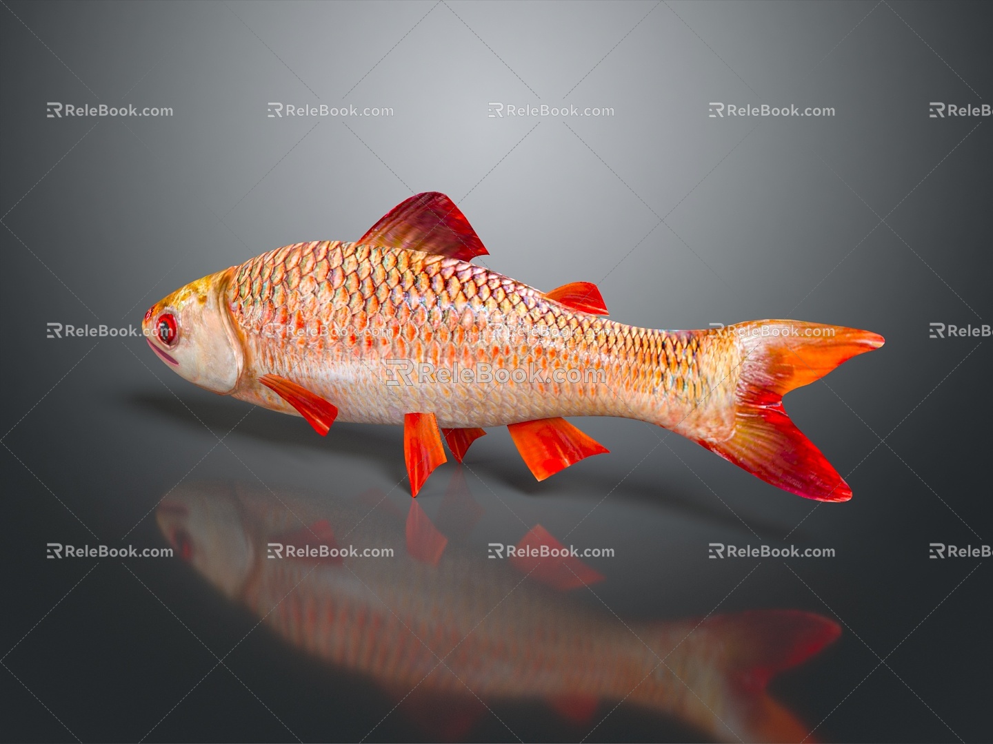 Modern Carp Goldfish Cartoon Goldfish Cartoon Goldfish Animation Goldfish Gold Grass Gold 3d model