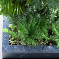 Living Plant Wall With Lush Green Foliage And Various Leaf Types For Indoor Decor