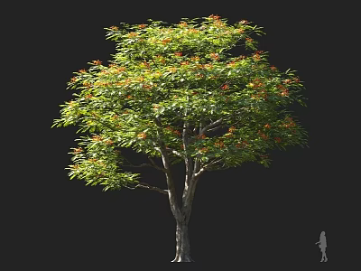 Tall Healthy Arbor With Lush Green Leaves And Vibrant Orange Flowers 3d model