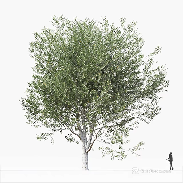 Tall Tree With Lush Green Foliage And Thick Trunk Beside Human Figure 3d model 