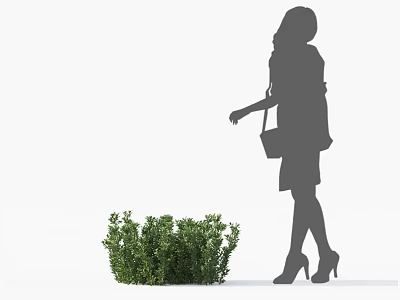 Green Shrub Standing Near Female Silhouette in High Heels With Handbag and Long Hair 3d model