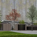 Modern Interior Courtyard With Red Leaf Tree Wooden Partitions Stone Tile Flooring And Skylight