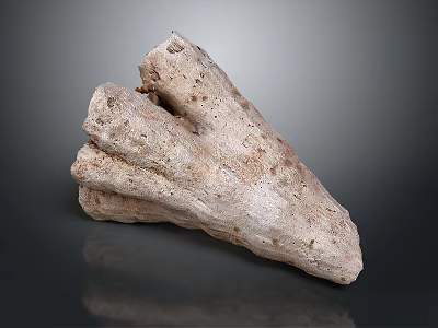 Natural Wood Stone with Rough Surface and Irregular Natural Texture 3d model