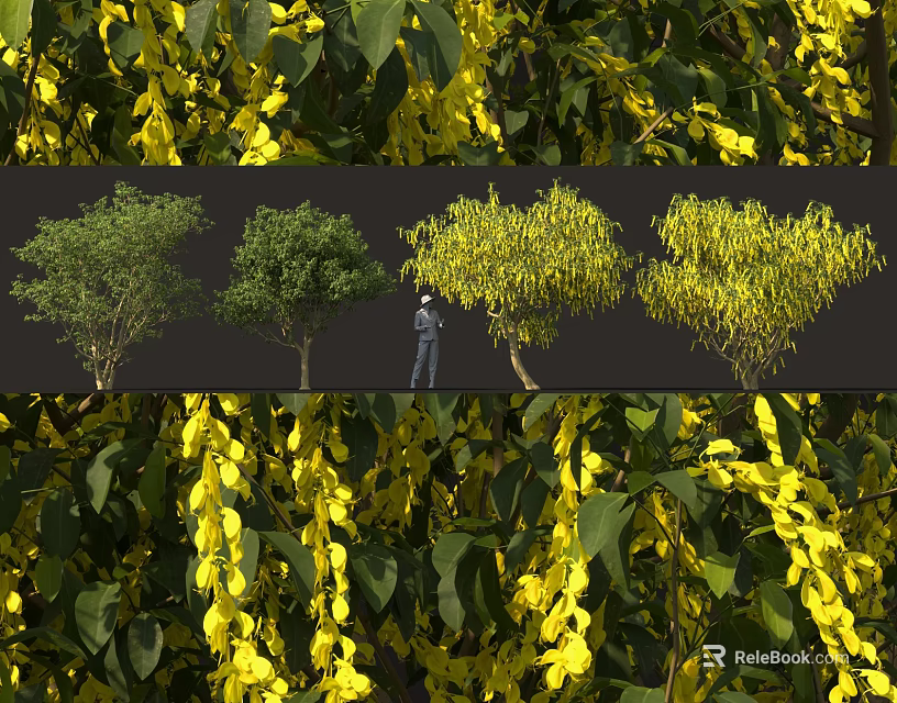 Various Types Of Decorative Shrubs With Yellow Foliage And Diverse Shapes For Landscape Design 3d model 