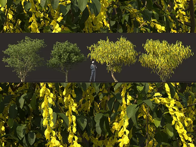 Various Types Of Decorative Shrubs With Yellow Foliage And Diverse Shapes For Landscape Design 3d model