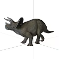Lifelike Triceratops Reptile Figure With Three Horns Large Frill And Textured Skin