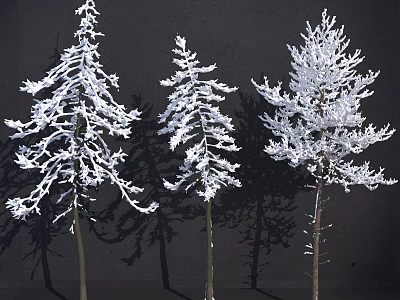 Snow Covered Arbor Trees With Frosted Branches And Dark Background Shadows 3d model