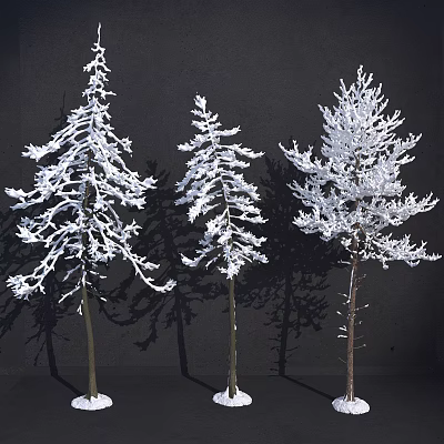 Snow Covered Arbor Trees With Frosted Branches And Dark Background Shadows 3d model