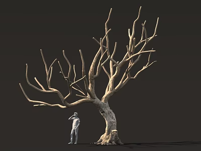 Tall Leafless Tree With Thick Trunk And Standing Figure Against Dark Background 3d model