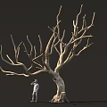 Tall Leafless Tree With Thick Trunk And Standing Figure Against Dark Background