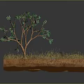 Cartoon Style Natural Scene With Small Stream Green Tree And Grass On Brown Land