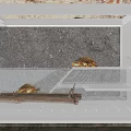 Stylish Aquarium Setup With Driftwood Rocks Aquatic Plants And LED Lighting