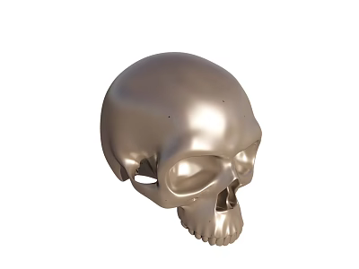 Silver Metallic Skull Sculpture With Polished Surface And Detailed Features 3d model
