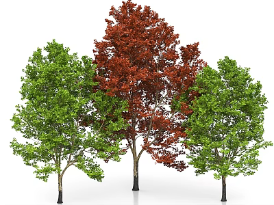 Three Arbor Trees Featuring Green And Red Lush Vibrant Foliage 3d model