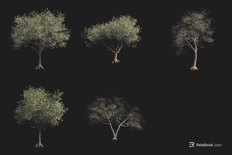 Various Arbor Specimens With Leafy Leafless Foliage And Diverse Crown Shapes 3d model