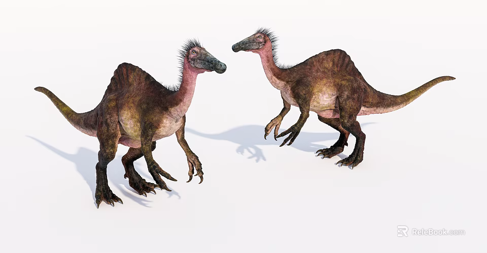 Two Prehistoric Reptile Feathered Dinosaurs Standing And Interacting With Textured Skin 3d model 