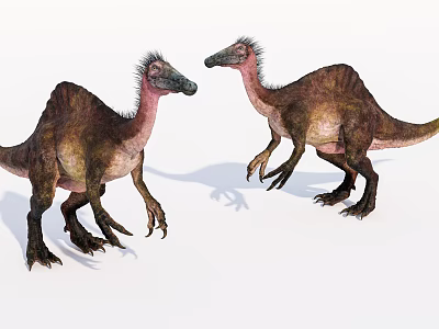 Two Prehistoric Reptile Feathered Dinosaurs Standing And Interacting With Textured Skin 3d model