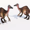 Two Prehistoric Reptile Feathered Dinosaurs Standing And Interacting With Textured Skin
