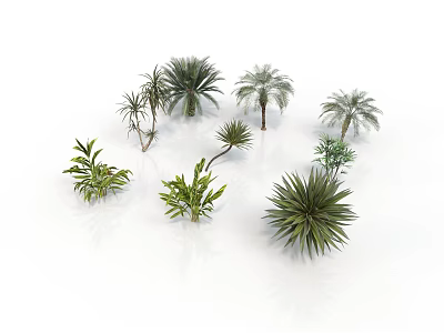 Diverse Collection of Various Plants Including Palm Trees Ferns and Leafy Greens on White Background 3d model