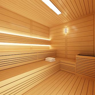 Modern Sauna Room 3d model