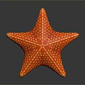 Red Starfish As Aquatic Animal With Vibrant Color And Yellow Spots On Shiny Surface