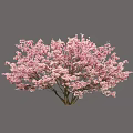 Beautiful Arbor With Pink Blossoms And Brown Trunk On Light Blue Background