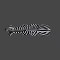 Realistic Standing Zebra Model With Detailed Black White Stripes And Lifelike Features