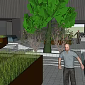 Modern Garden Landscape With Large Tree Green Plants Lawn And Steps