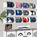 Decorative Ornament Set with Vinyl Records Display on Wall Shelf Record Player and Green Plant
