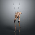 Futuristic Metallic Mechanical Creature With Long Antennae And Tall Legs Structure