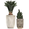 Modern Garden Decor Elements With Geometric Patterned Planters And Assorted Green Foliage Plants