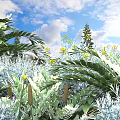 Lush Shrubs With Green Leaves And Yellow Flowers Under Sunlit Blue Sky With White Clouds
